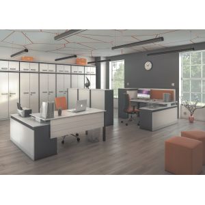 WHITE GRAPH - meble biurowe - FMB Antrax - MIX MEBLE