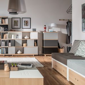 Pomieszczenia :: salon :: Balance